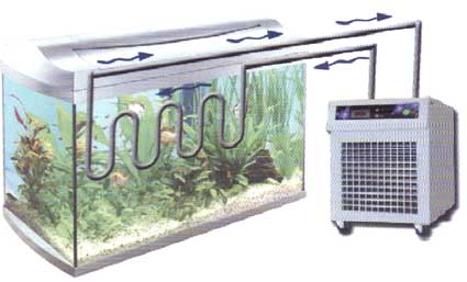 Image IPB